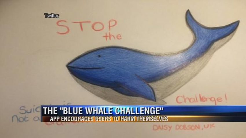 Advisory Against the “Blue Whale Challenge”
